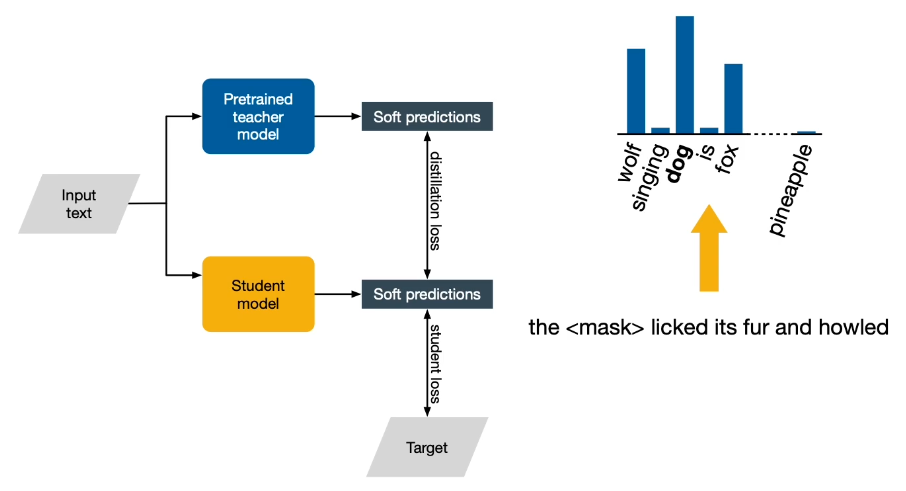 Knowledge distillation
