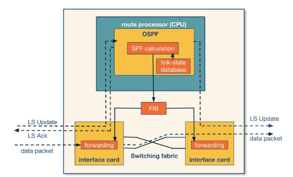 Ospf Processed