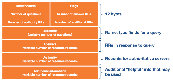 Dns Message Format