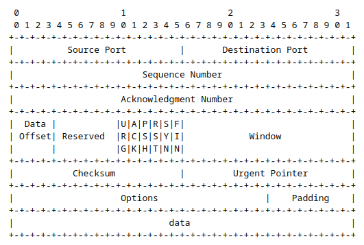 Tcp Header